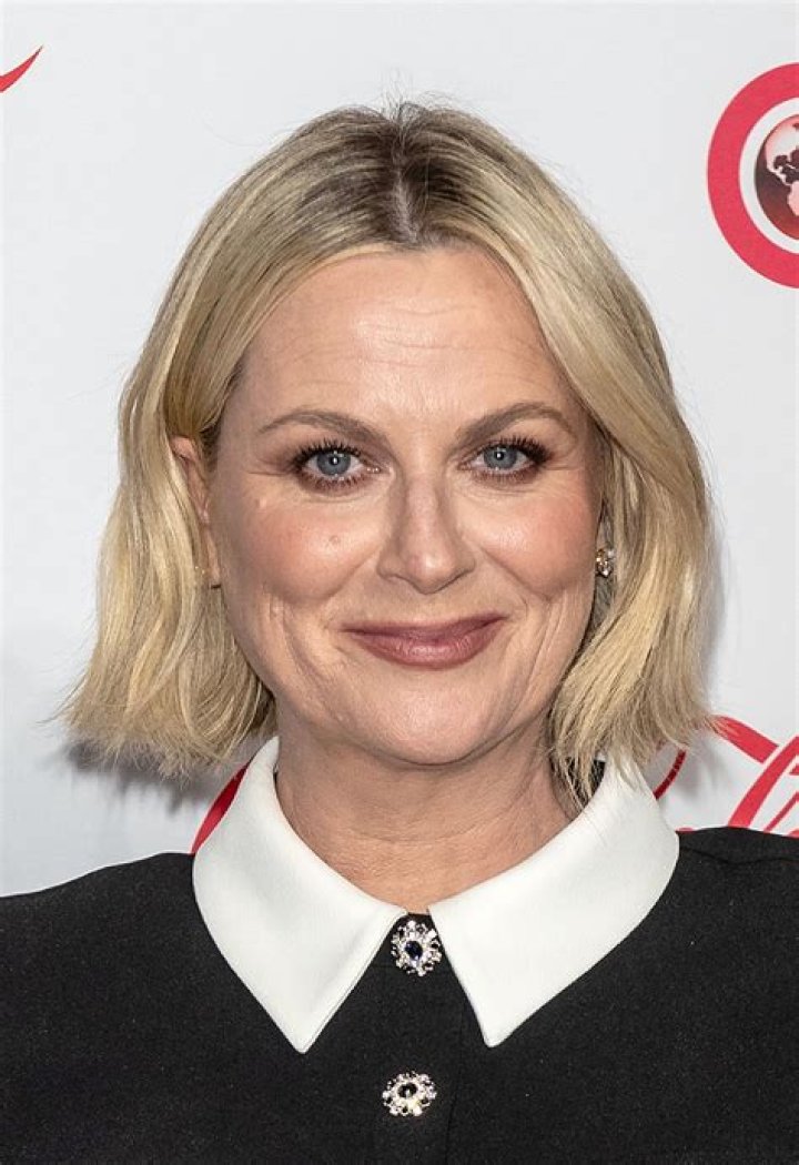10 New Potential Suitors for Amy Poehler