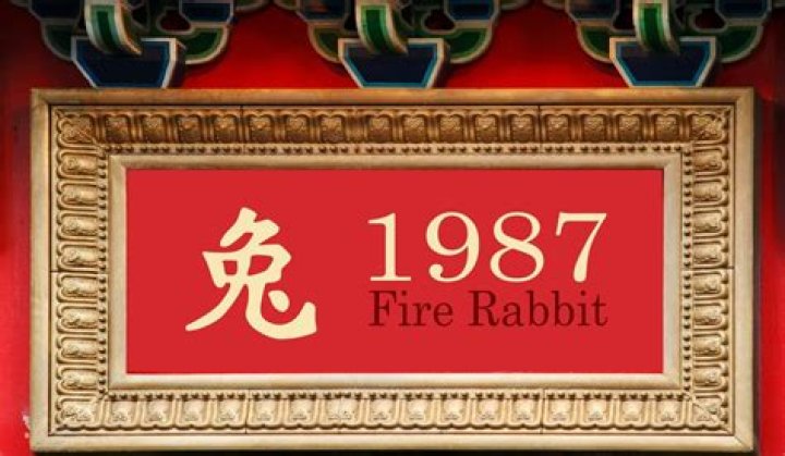 1987 Chinese Zodiac | Fire Rabbit