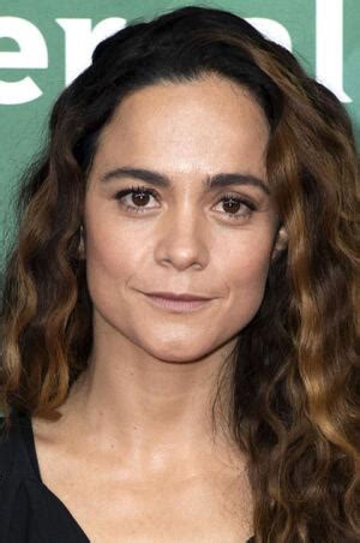 Alice Braga Bio (Wiki) 