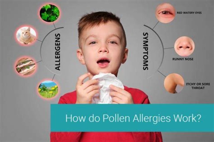 Are people allergic to lilacs?