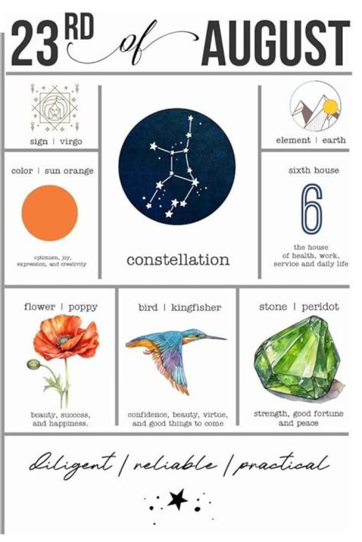 August 23 Birthdays By Profession