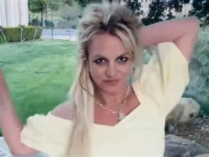 Britney Spears’ ex-minder makes more allegations, including farting, meth use