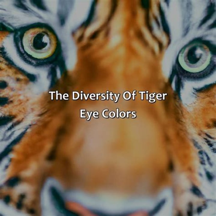Can Tigers have green eyes?