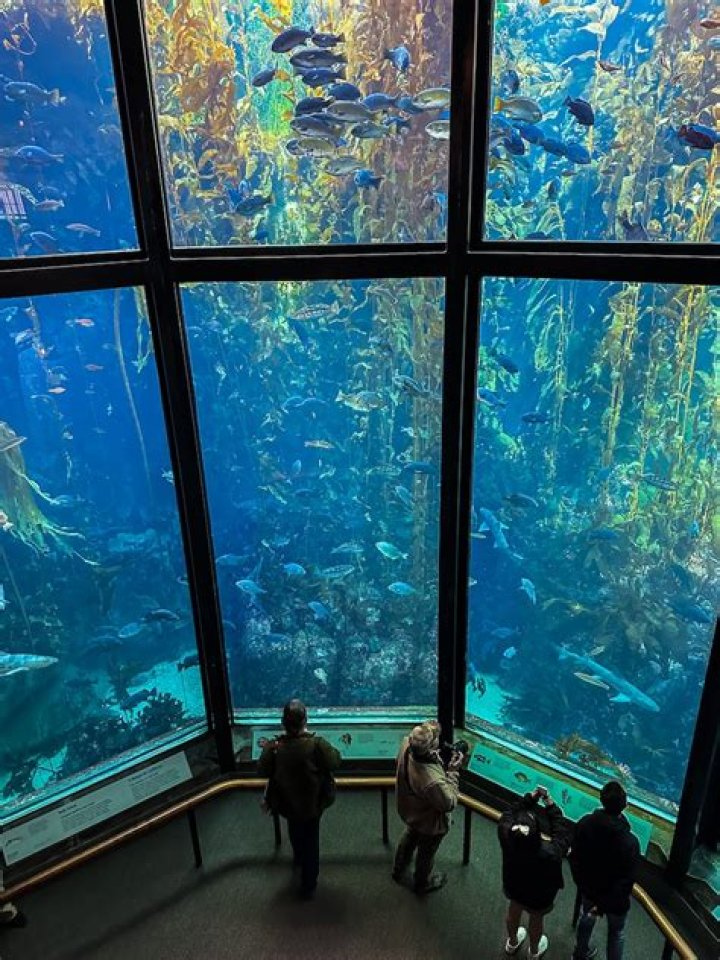 Can you bring food into Monterey Bay Aquarium?