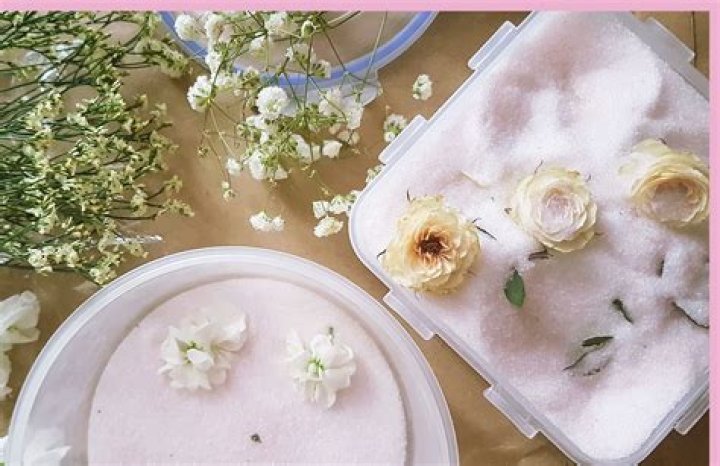Can you dry flowers with salt?