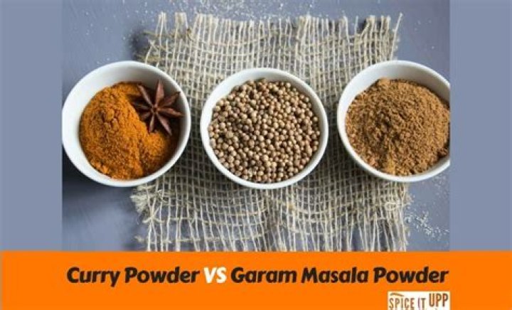 Can you use garam masala instead of curry powder?