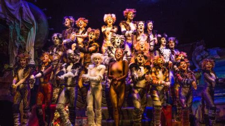 Cats (Broadway Show) - Cast, Ages, Trivia