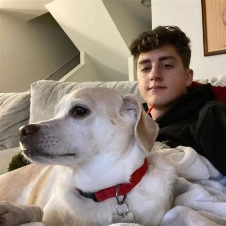Danny Gonzalez Pets - Celebrity Pets