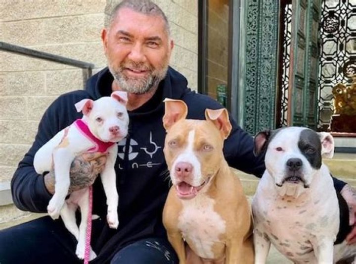 Dave Bautista - Age, Family, Bio
