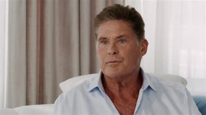 David Hasselhoff spent the holidays in rehab after family intervention