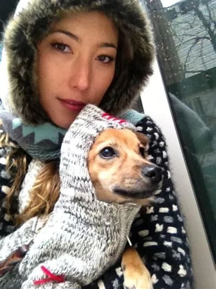 Dichen Lachman Pets - Celebrity Pets