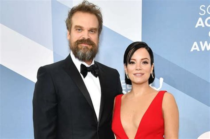 Did Lily Allen and David Harbour split up?