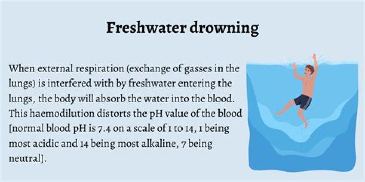 Do bees drown in water?