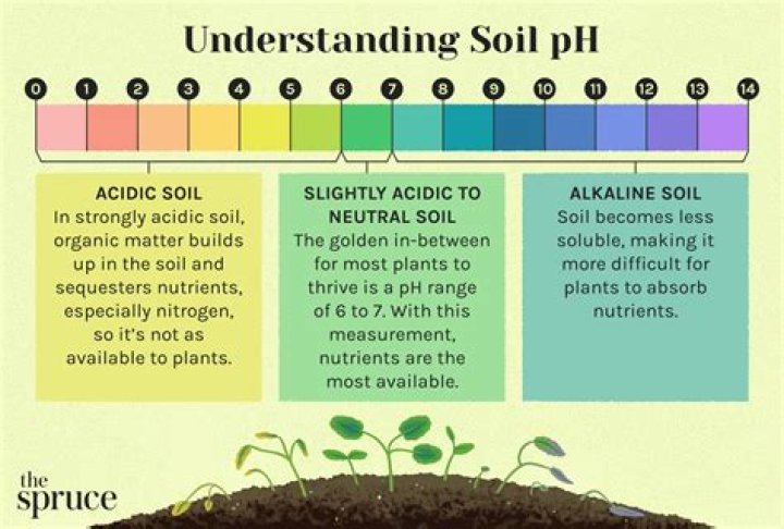 Do figs like acidic or alkaline soil?
