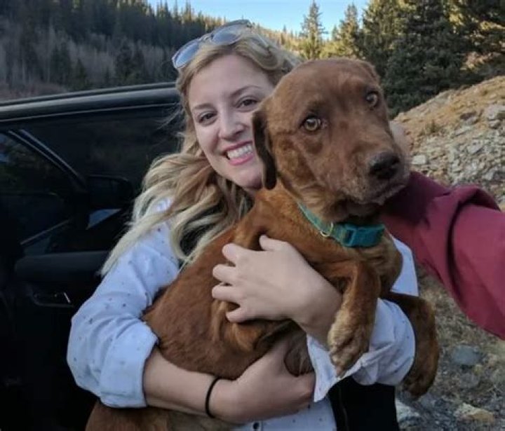 Dog rescued from an abandoned mining shaft has happy ending