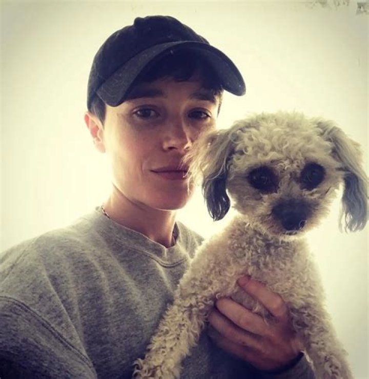 Elliot Page Pets - Celebrity Pets