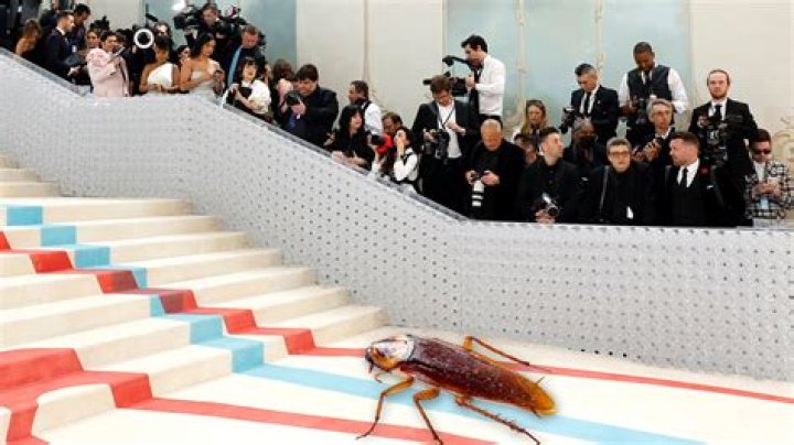 Everyone is talking about the cockroach on the Met Gala carpet