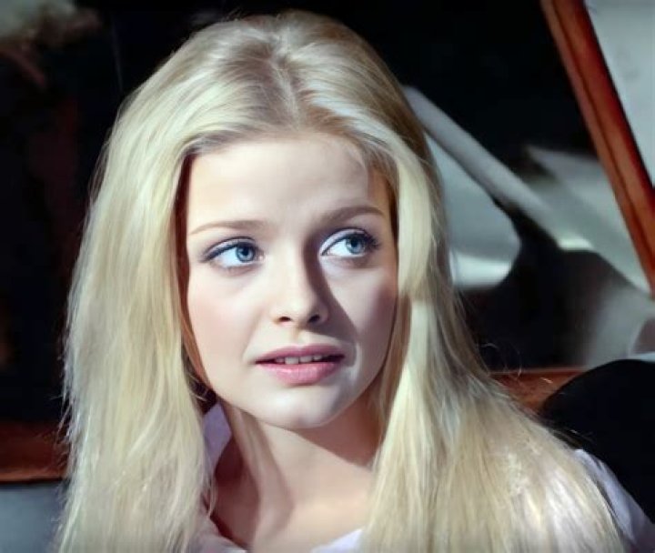 Ewa Aulin Pillow G3444394 - CelebPoster.com