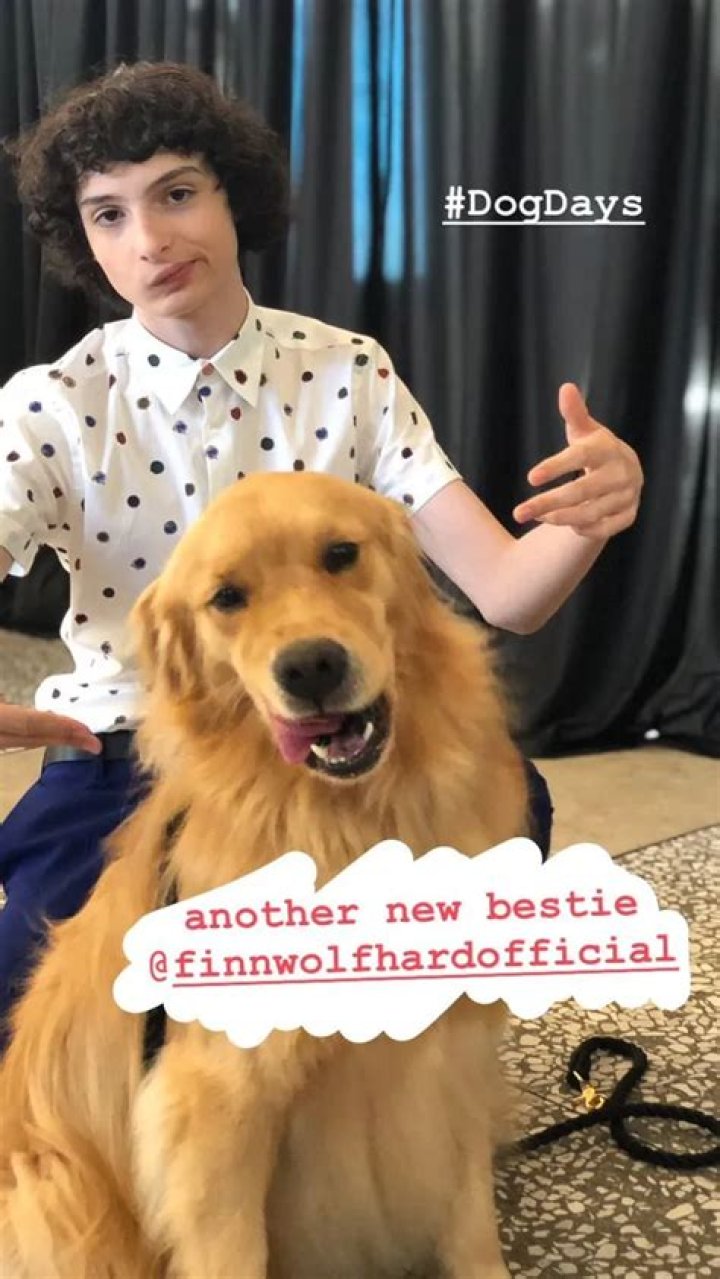 Finn Wolfhard Pets - Celebrity Pets