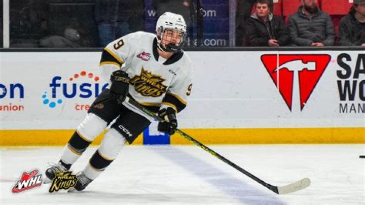 Hockey Players Born in Arizona
