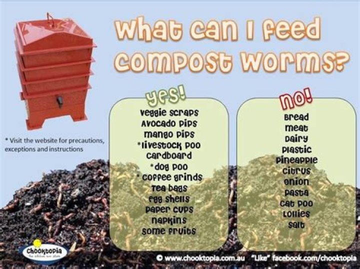 How can I keep my worm farm warm in the winter?