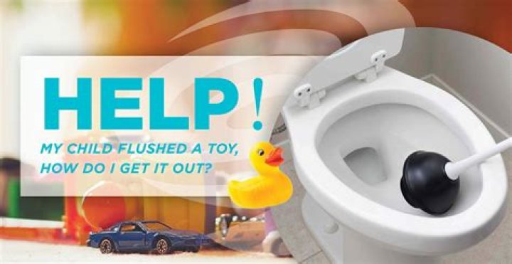 How do you get a toy out of a toilet?