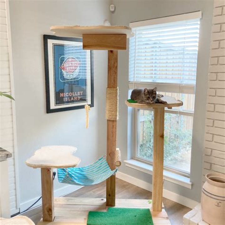 How do you make a cat tree branch?