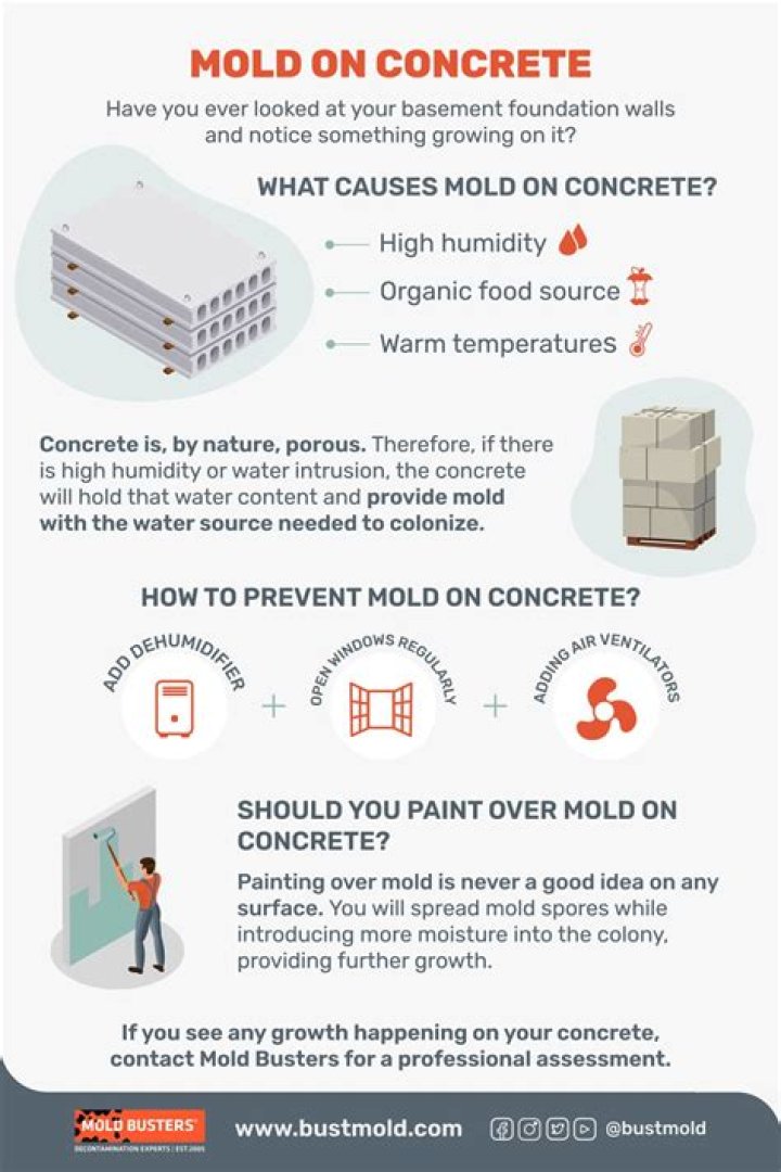 How do you prevent mold on concrete walls?