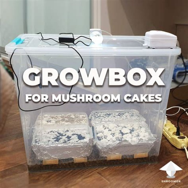 How do you turn a mini fridge into a grow box?