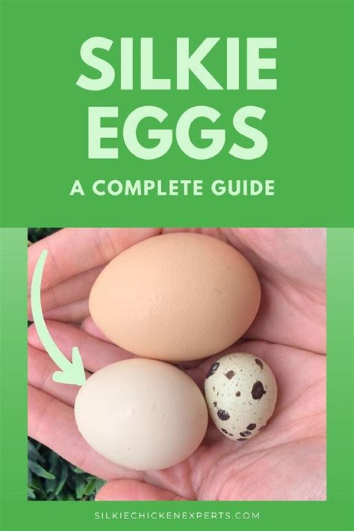 How long do Silkie eggs take to hatch?