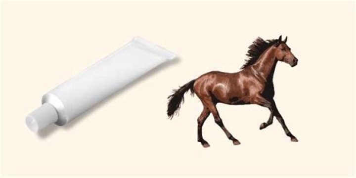 How long does previcox stay in a horse’s system?