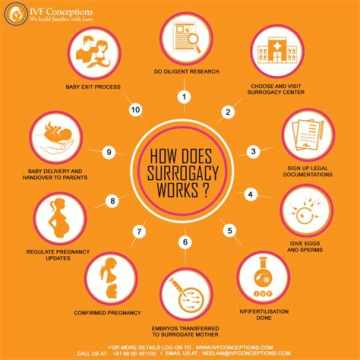How many episodes of The Surrogacy are there? (and what is it about?)