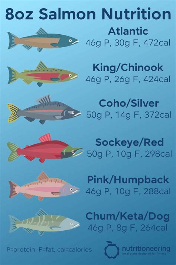 How many ounces is a half pound of salmon?