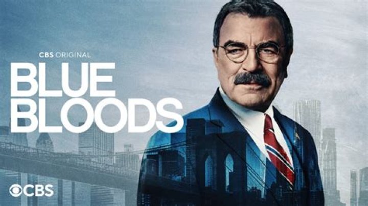 How Many Partners Has Danny Reagan Had On Blue Bloods?