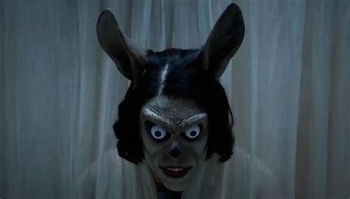 How Old Is Rachel Wolfson? Age and Biography – Everything About The Jackass New Cast Member