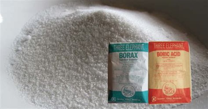 Is boric acid harmful to birds?