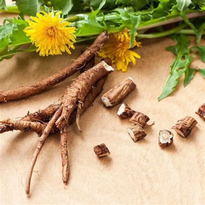 Is dandelion root good for fertility?