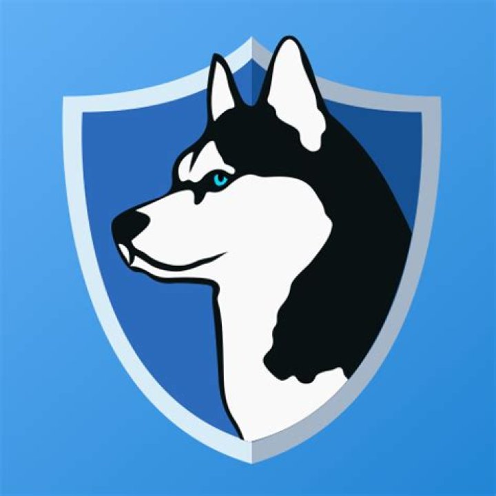 Is Phone Guardian a safe app?