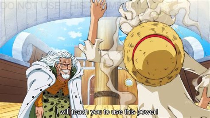 Is Rayleigh related to Luffy?