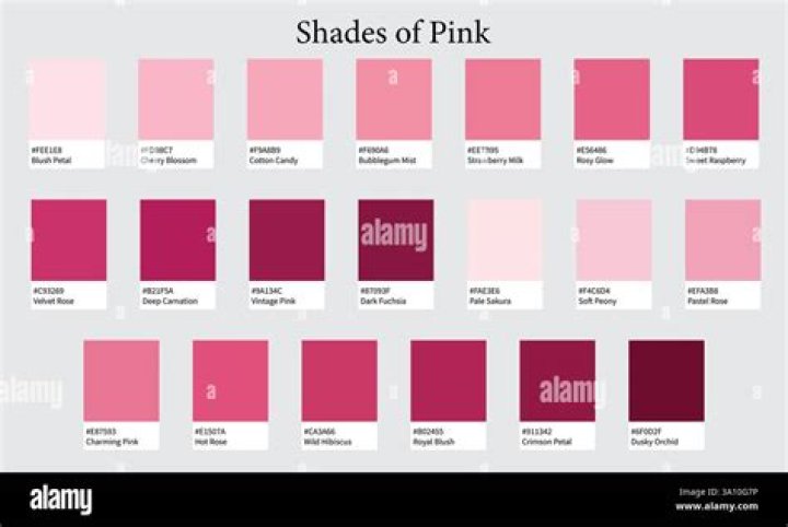 Is the color rose pink?