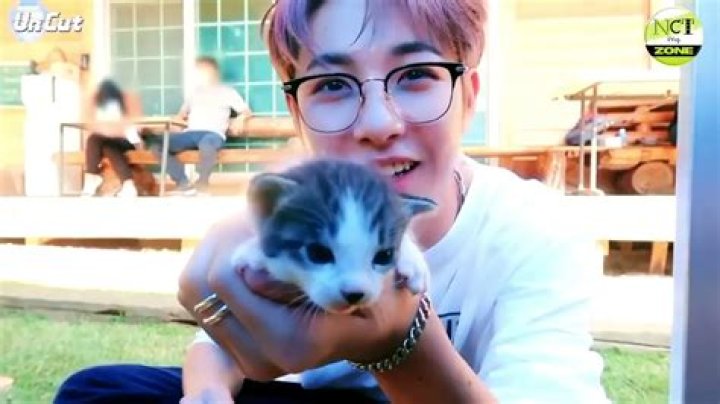 Jaemin Pets - Celebrity Pets