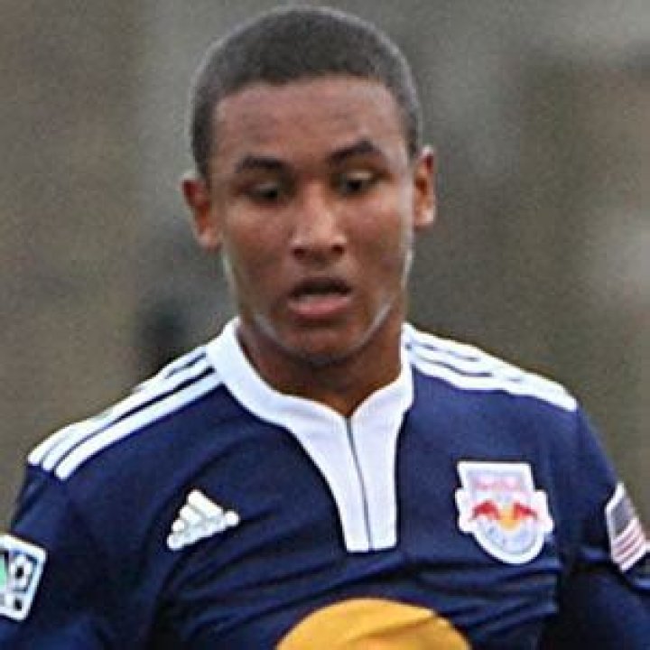 Juan Agudelo Bio (Wiki) 