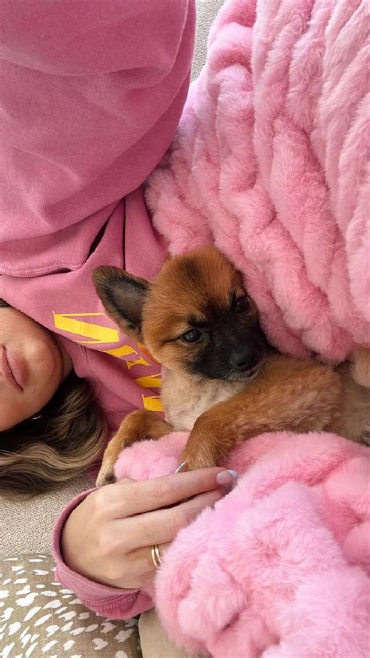 KassaDee Nelson Pets - Celebrity Pets