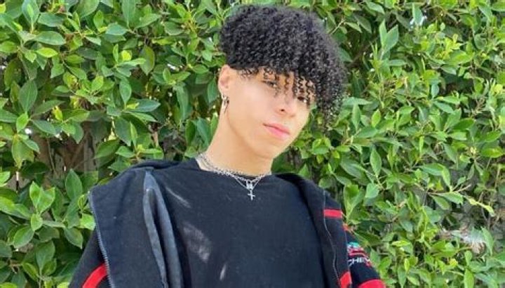 Larray Bio (Wiki) 