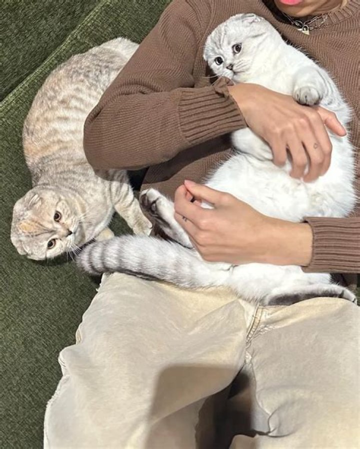 Larray (Larri Merritt) Pets - Celebrity Pets
