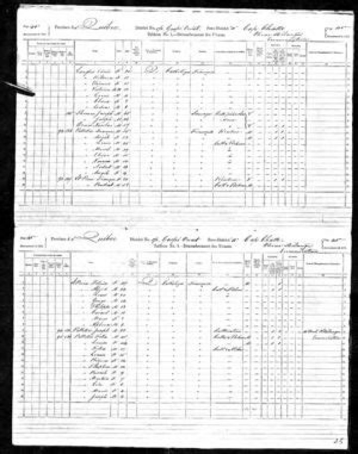 Louise Blouin – Family, Family Tree