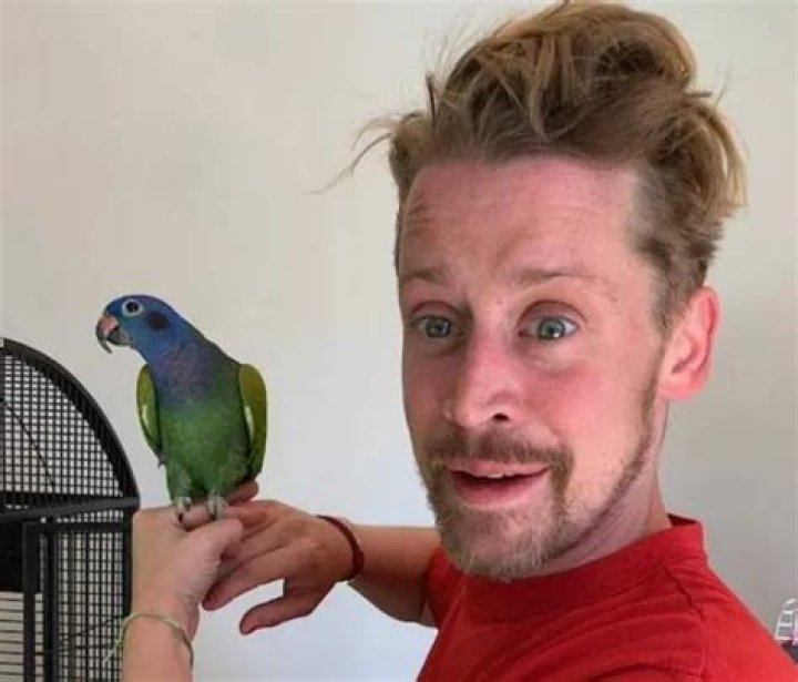 Macaulay Culkin Pets - Celebrity Pets