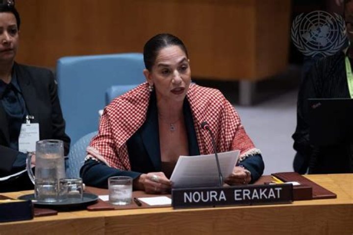 Noura Erakat Bio (Wiki) 