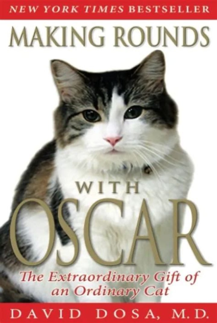 Oscar the Therapy Cat Predicted 100 Deaths and Inspired Stephen King