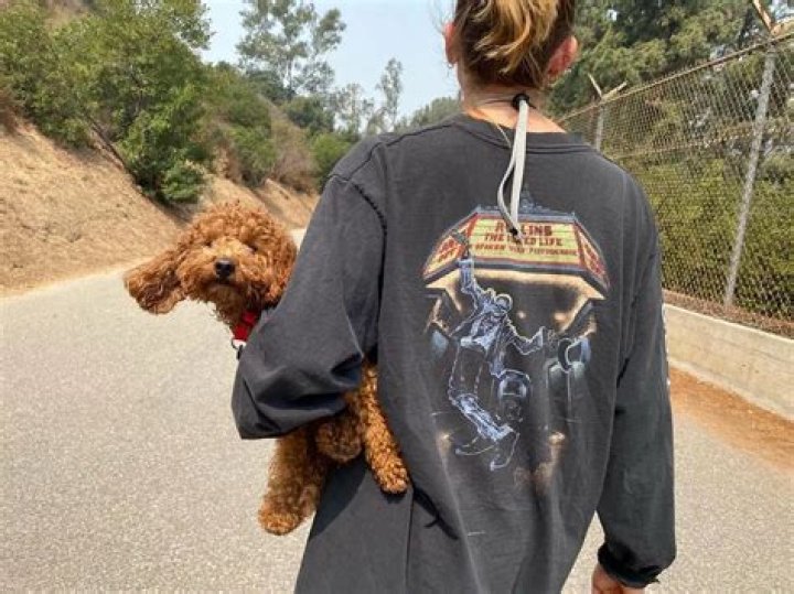 Phoebe Tonkin Pets - Celebrity Pets